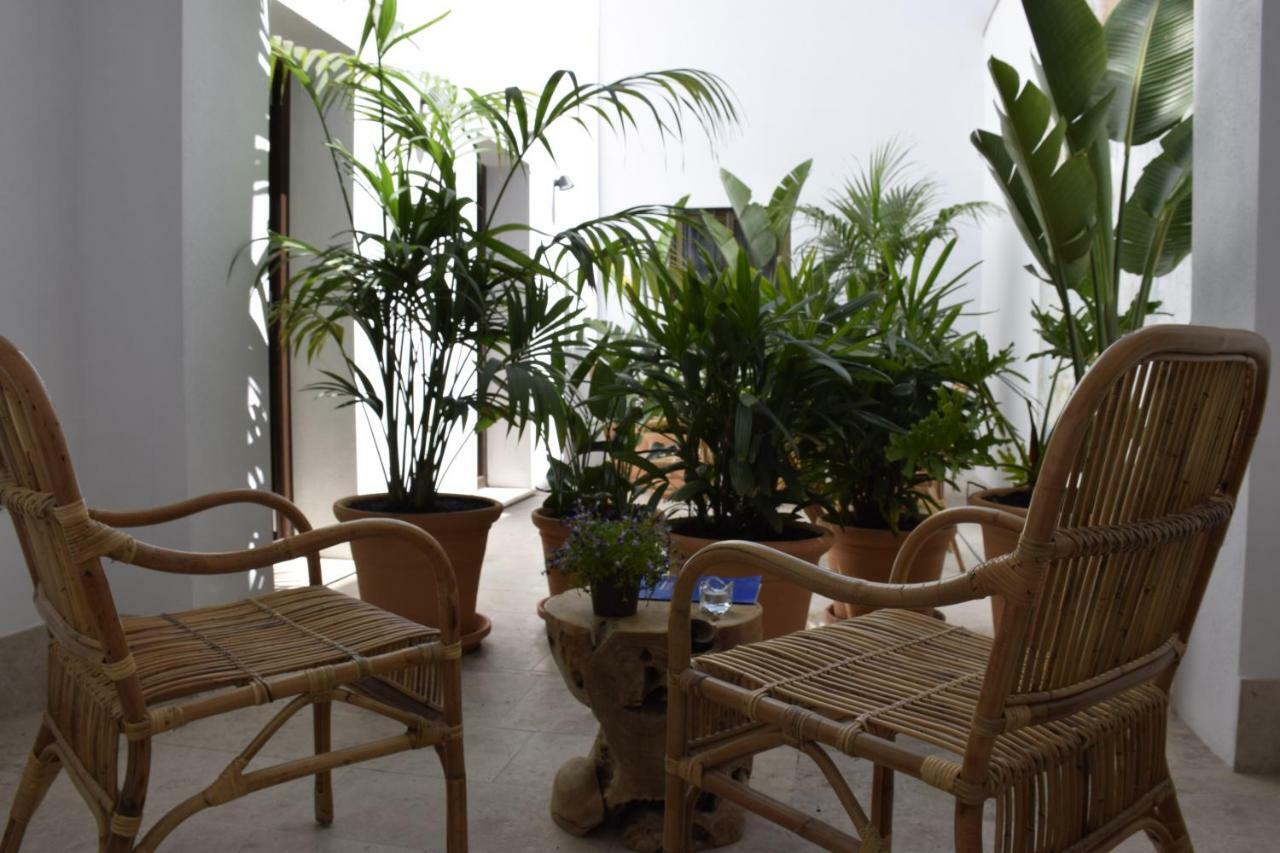 Chacon Apartments & Suites إِستيبونا المظهر الخارجي الصورة